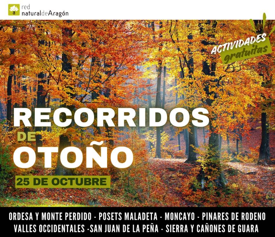 Cartel de Paseo de otoño por el entorno del Mesón de Sevil