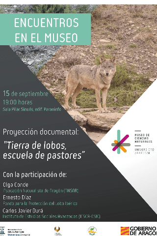Cartel de Encuentros en el Museo: Proyección documental "Tierra de lobos, escuela de pastores"
