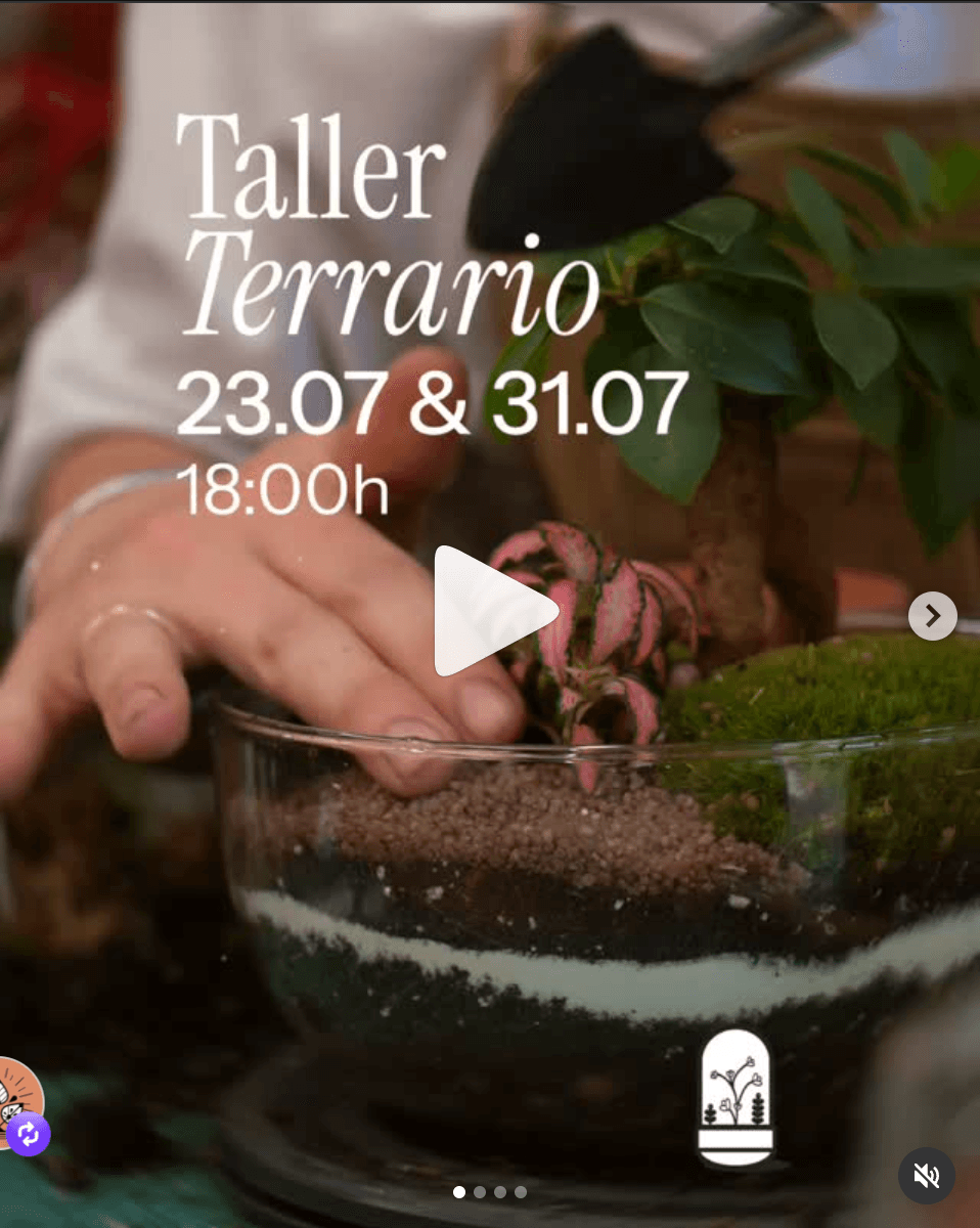 Cartel de Taller de terrario en La Plantería