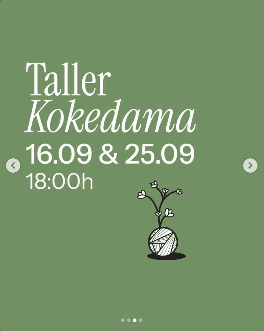 Cartel de Taller de kokedama