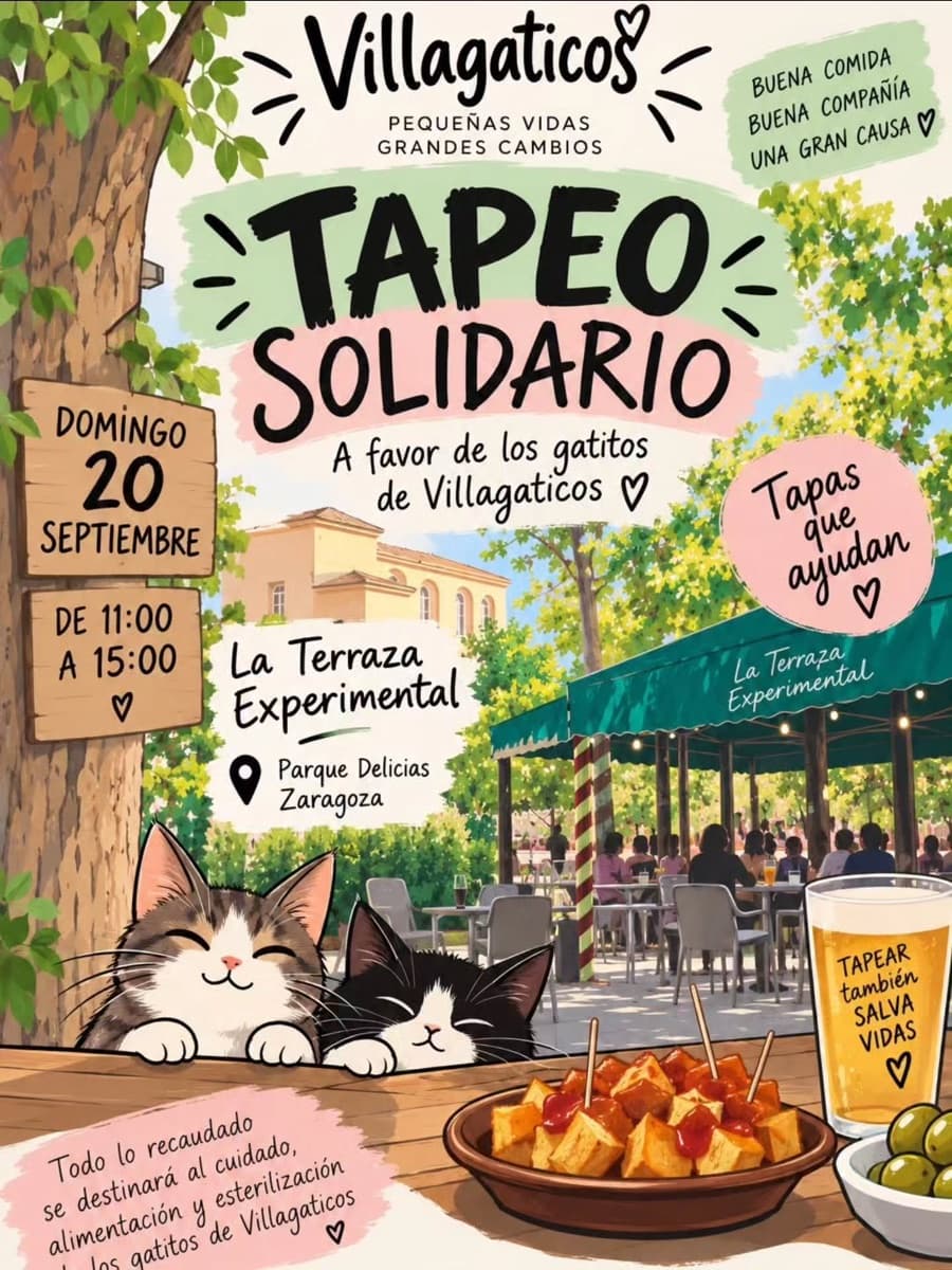 Cartel de Tapeo solidario por los gatitos de Villagaticos