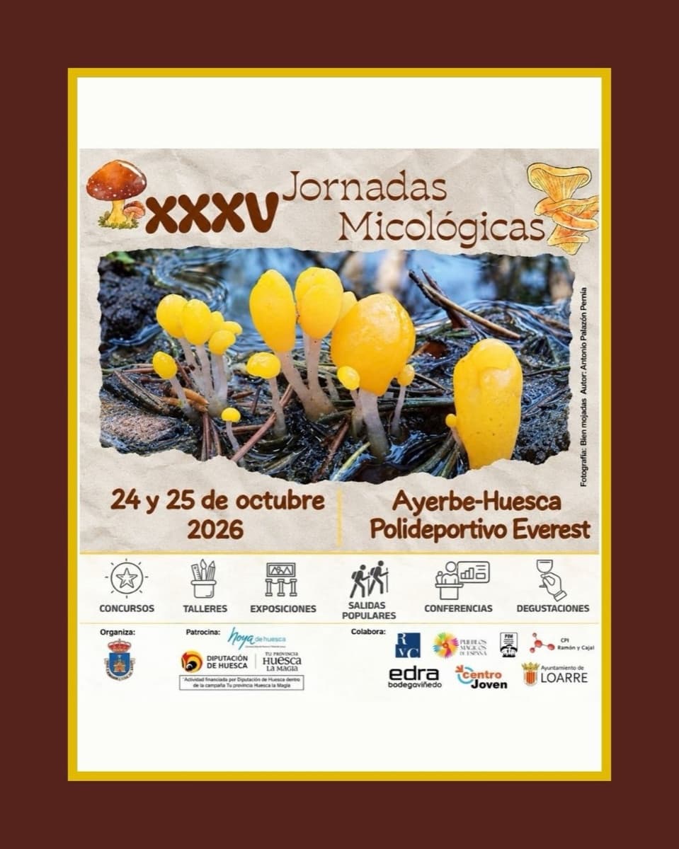 Cartel de XXXV Jornadas Micológicas de Ayerbe