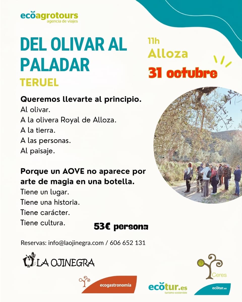 Cartel de Del olivar al paladar: oleoturismo en Alloza con La Ojinegra
