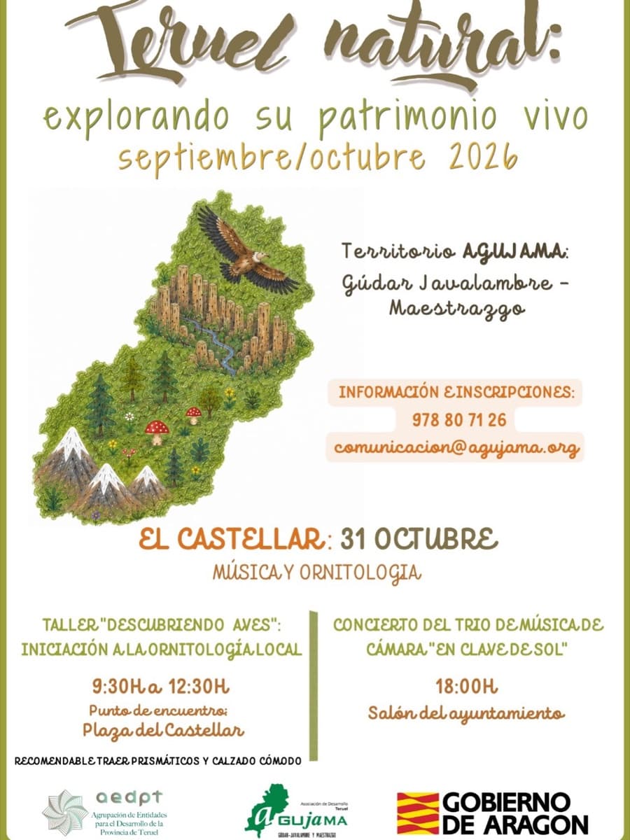 Cartel de Taller «Descubriendo aves»: iniciación a la ornitología en El Castellar
