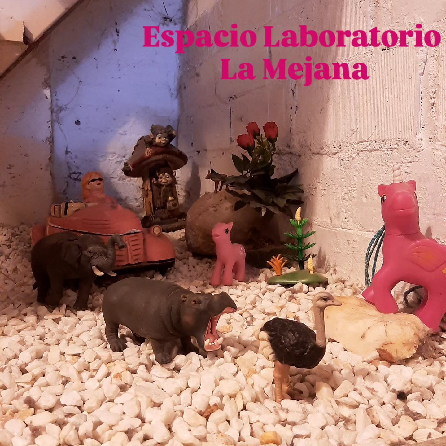 Cartel de Danza contemporánea y danza teatro en el Espacio Laboratorio La Mejana