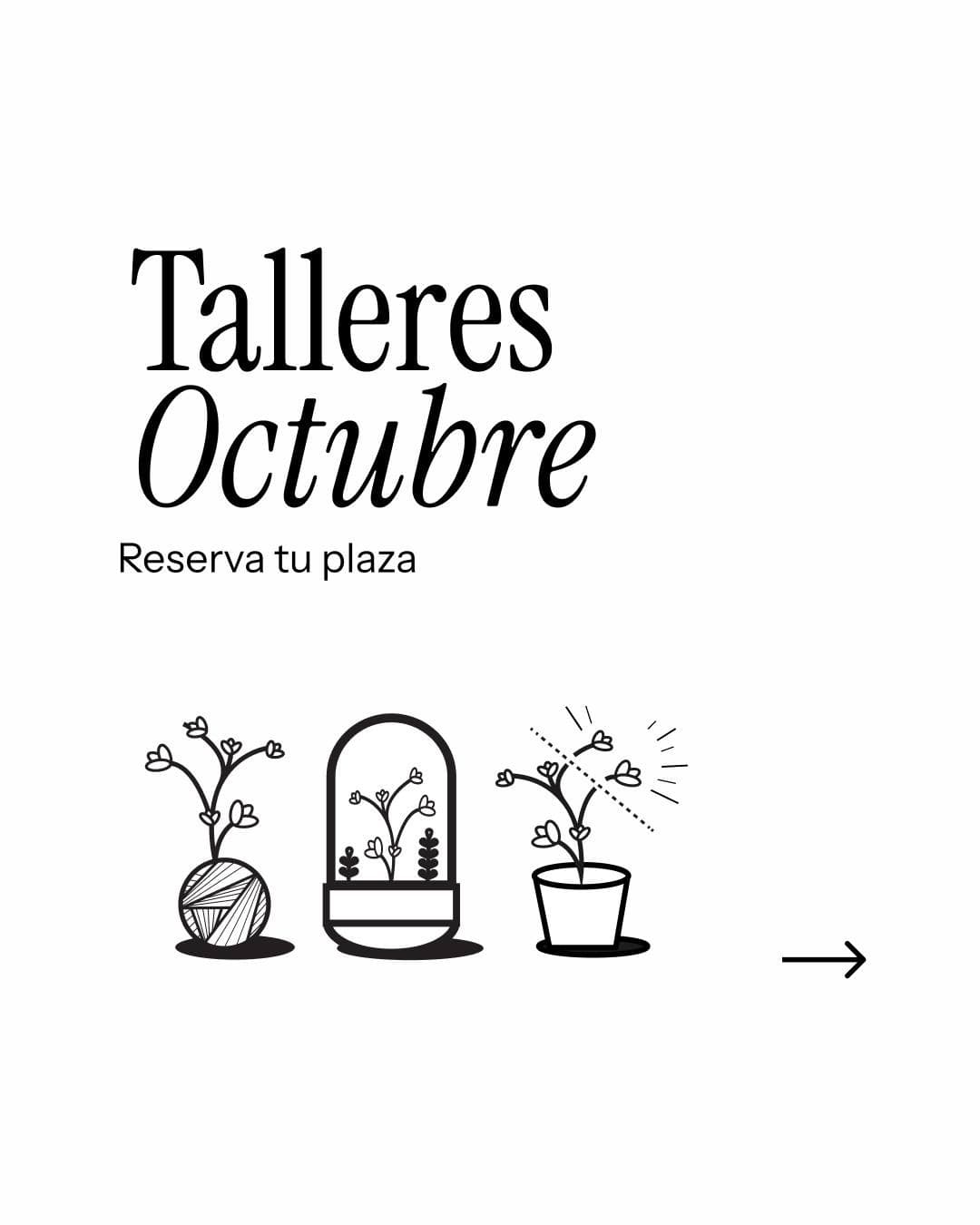 Cartel de Taller de terrario