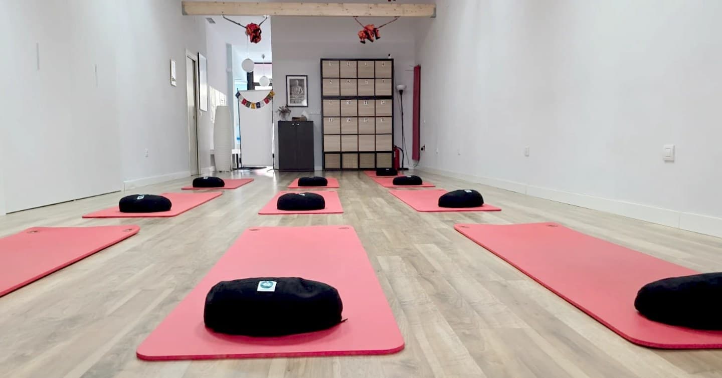 Cartel de Yoga aéreo en Satya
