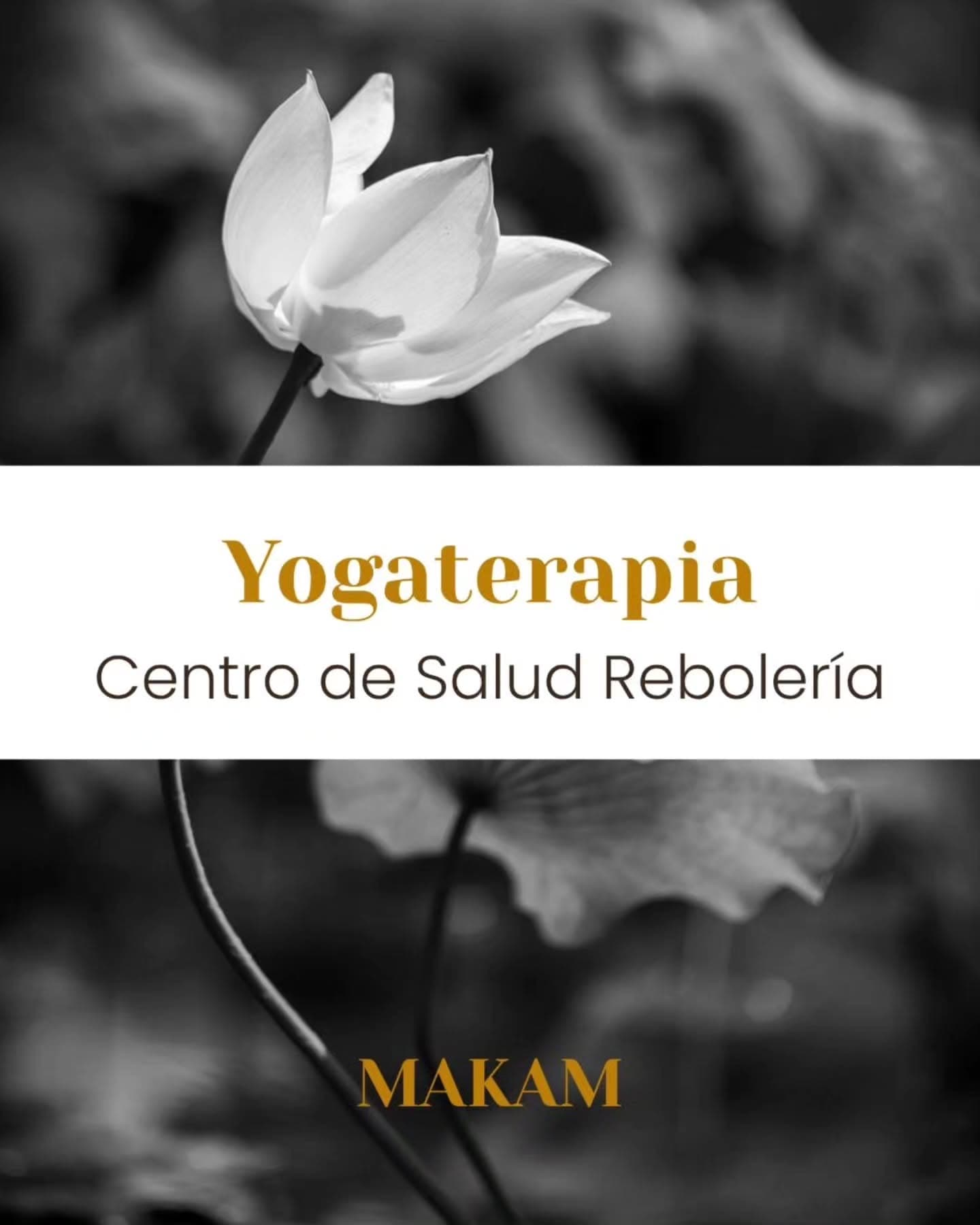 Cartel de Yogaterapia gratuita en el Centro de Salud Rebolería