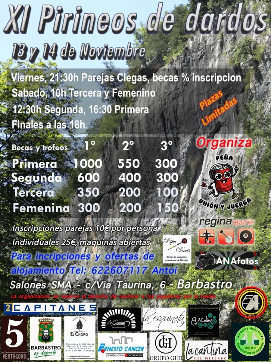 Cartel de XI Campeonato Pirineos de Dardos