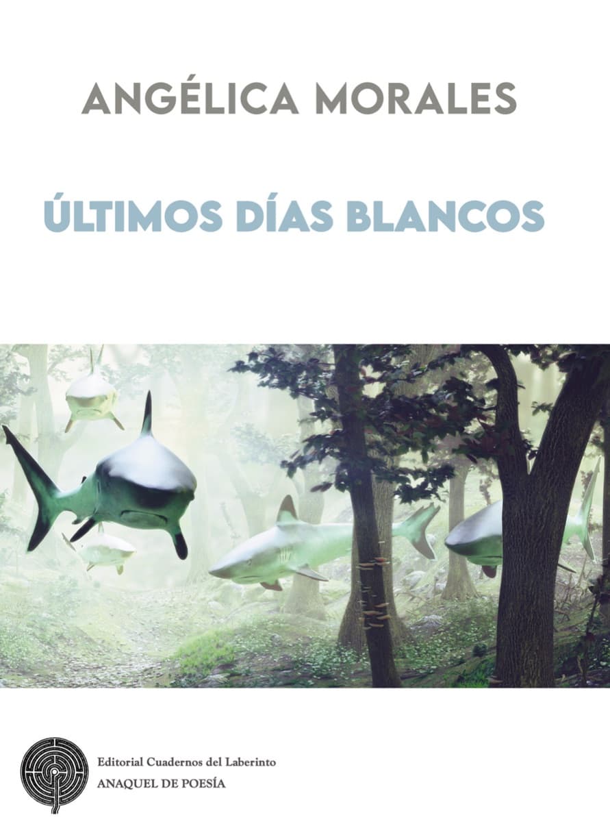 Cartel de Presentación de «Últimos días blancos», de Angélica Morales, en Librería Anónima