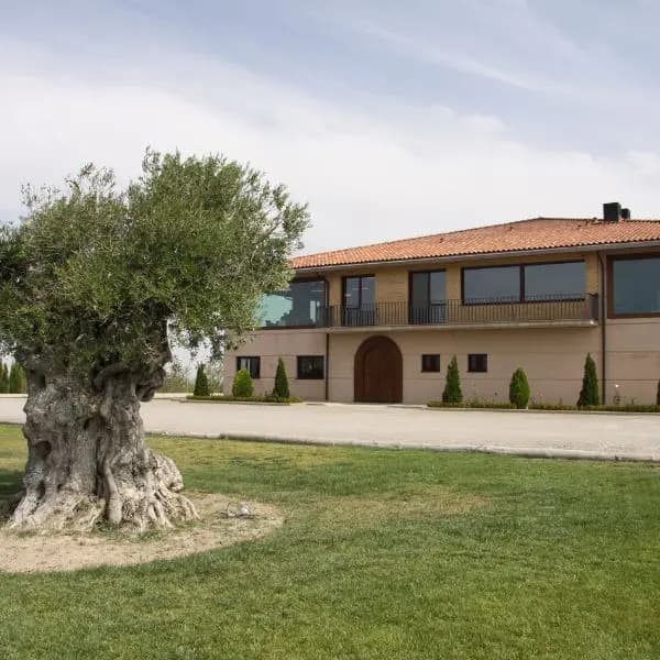 Cartel de Visita y cata de 7 vinos en Bodegas Alto Moncayo