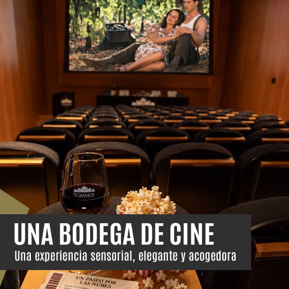 Cartel de «Una bodega de cine»: «Un paseo por las nubes» en Bodega Sommos