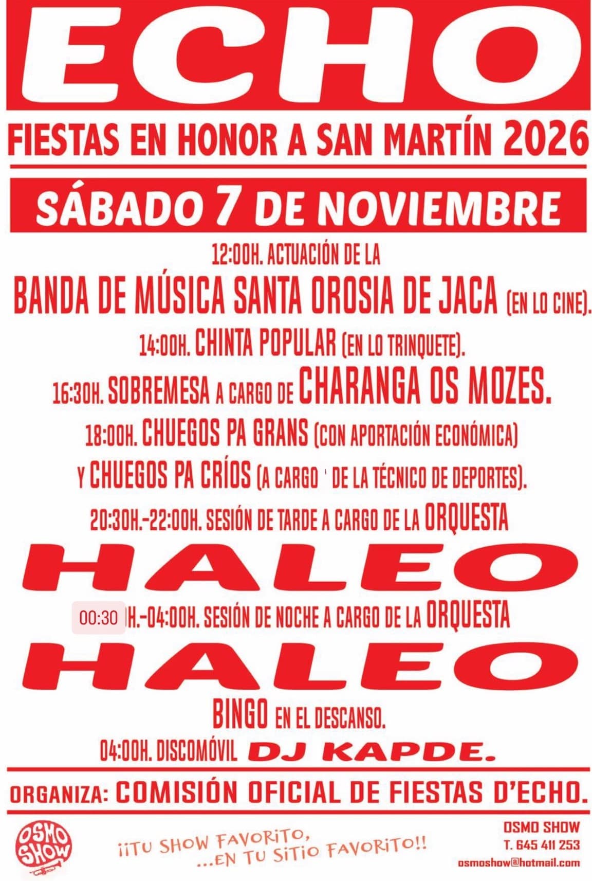 Cartel de Fiestas de San Martín en Echo: chinta popular, charanga y orquesta Haleo