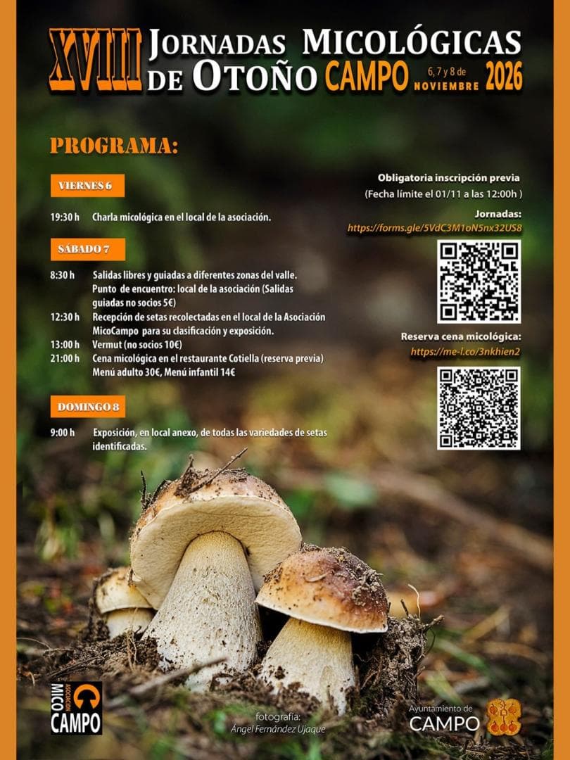 Cartel de Salida micológica guiada en Campo
