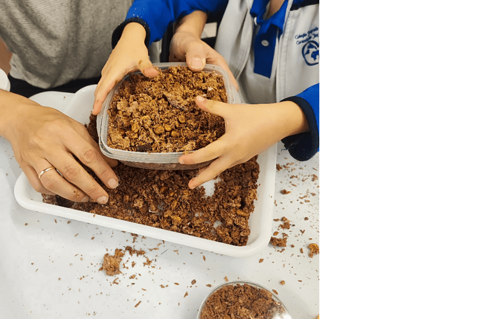 Cartel de Micelio: Creando con la Naturaleza