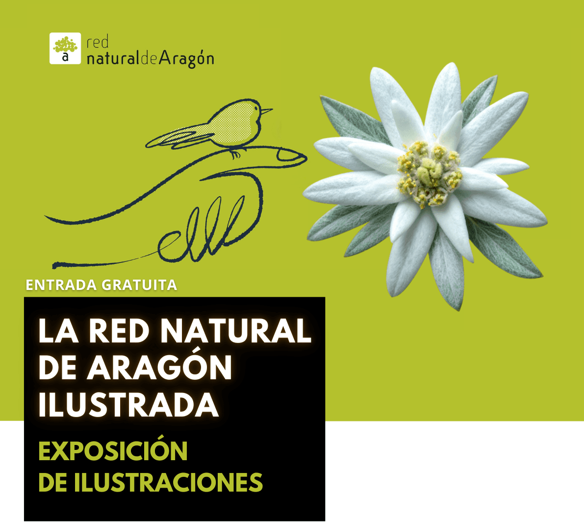 Cartel de Exposición «La Red Natural de Aragón ilustrada»