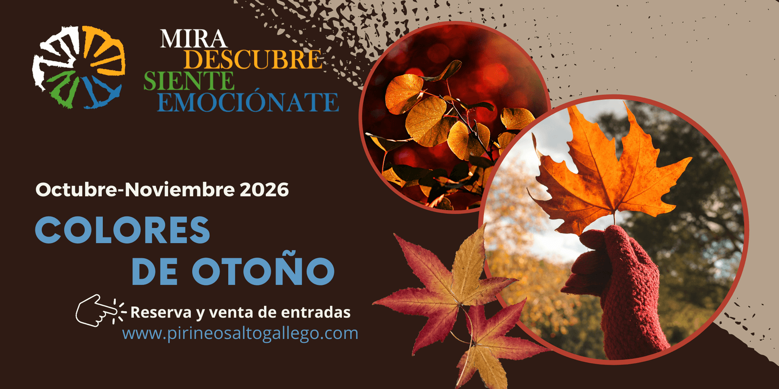Cartel de Colores de otoño: hayedo de Yosa de Sobremonte