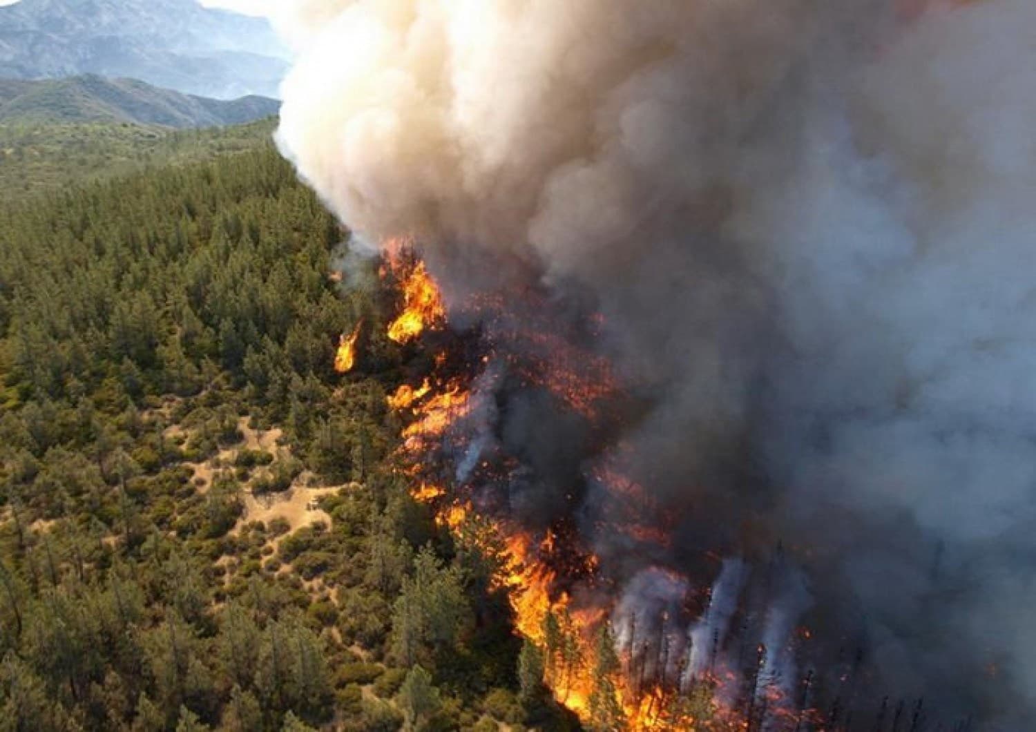 Cartel de Incendios forestales: un grave problema que tenemos que abordar