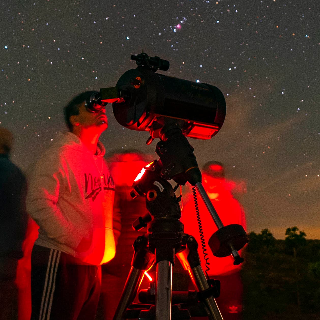 Cartel de Observación nocturna en Galáctica: La gran galaxia de Andrómeda