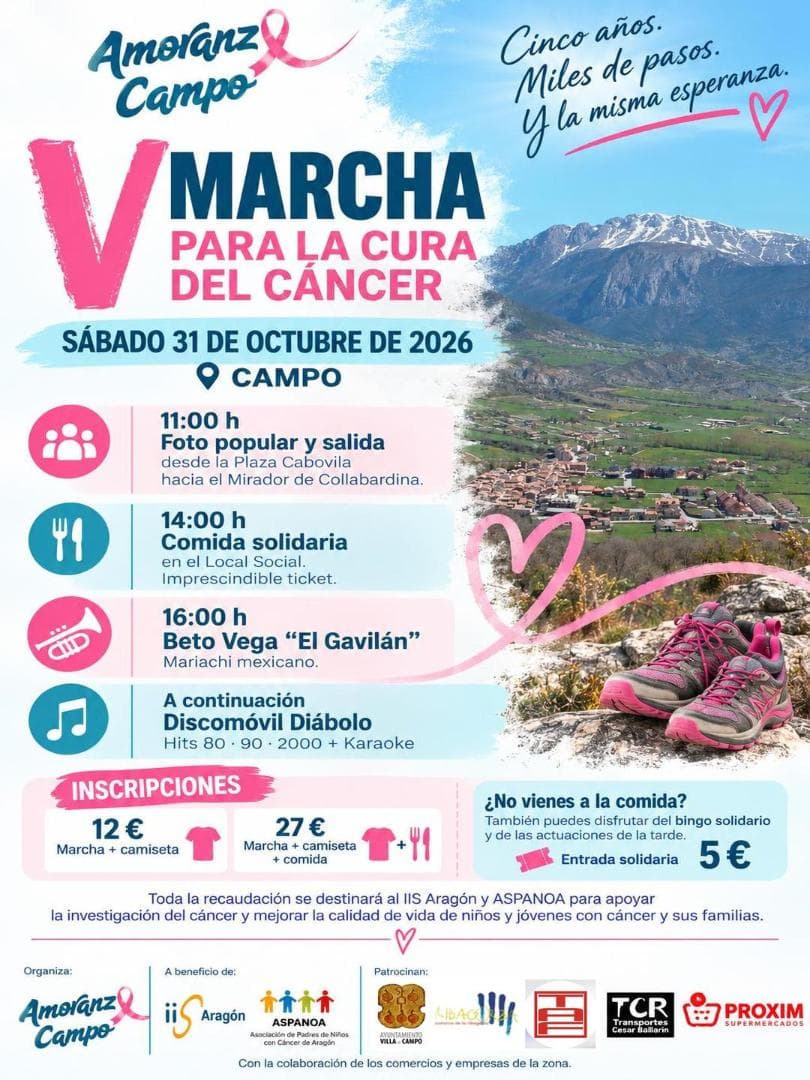 Cartel de V Marcha para la Cura del Cáncer de Campo
