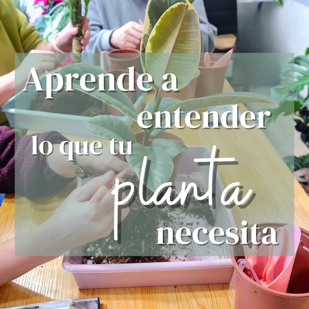 Cartel de Taller de plantas en Planta y Trasplanta: aprende a entender lo que tu planta necesita