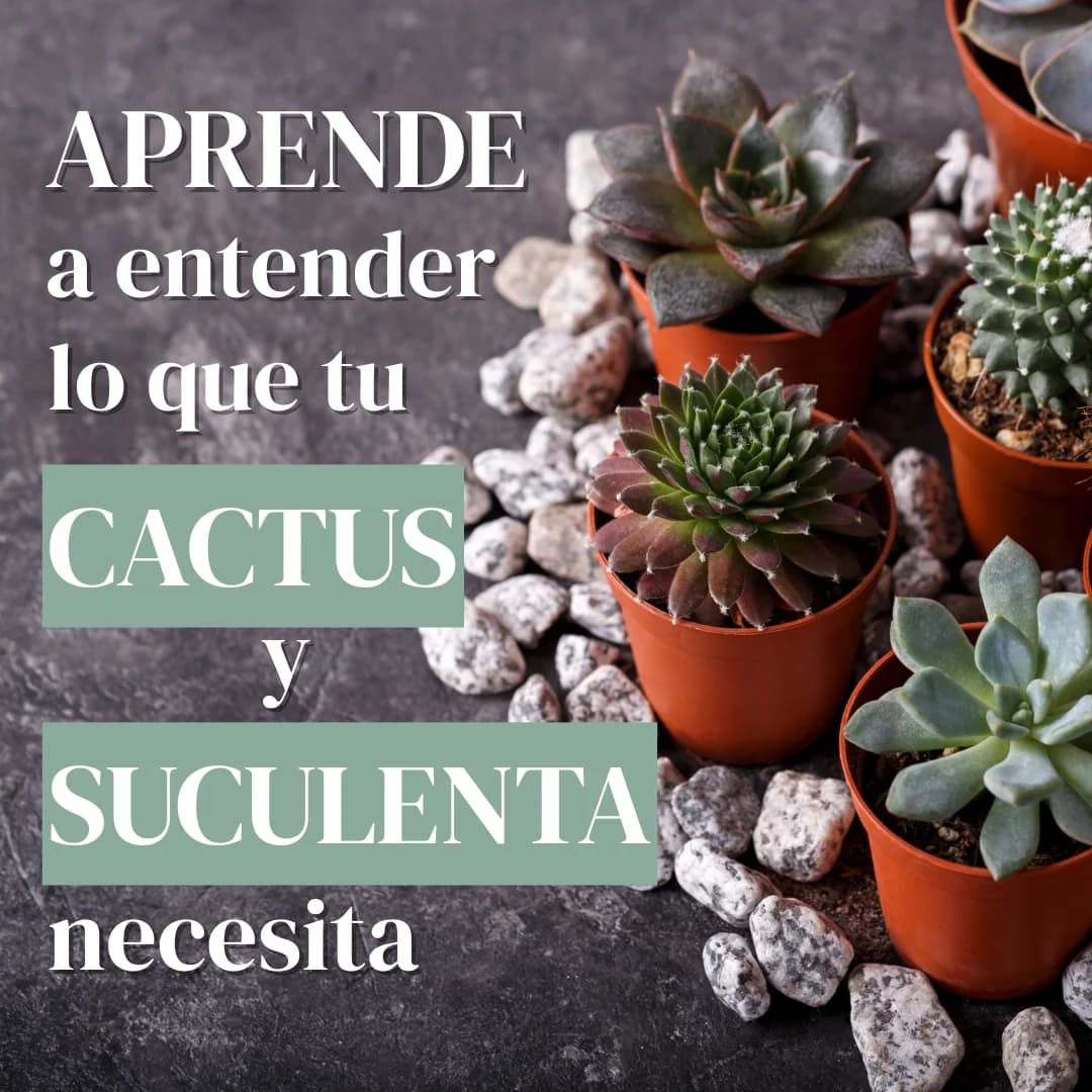 Cartel de Taller de cactus y suculentas en Planta y Trasplanta