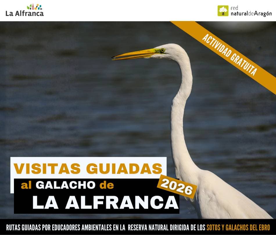 Cartel de Visita guiada al Galacho de La Alfranca